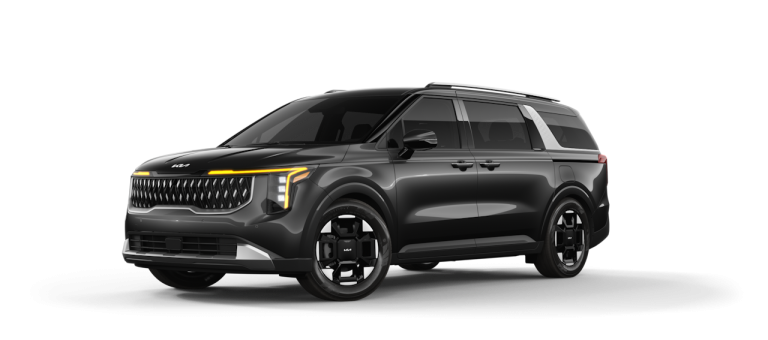 Aurora Black